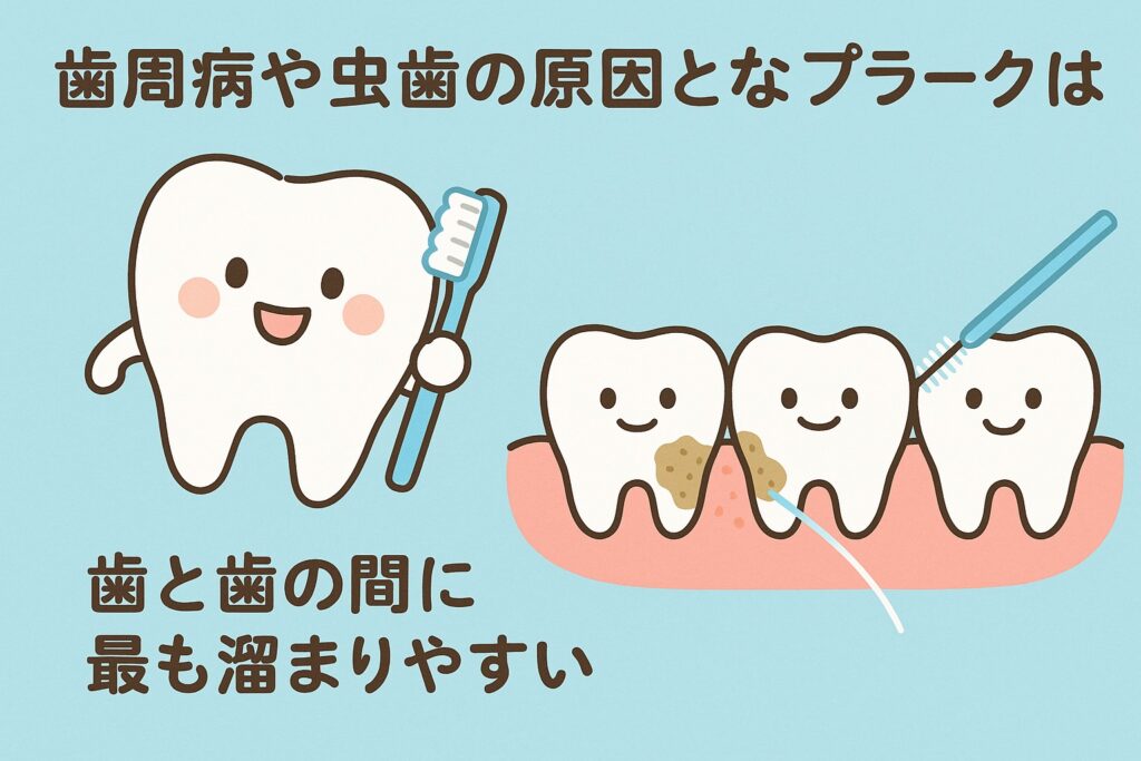あなたの歯、1,000万円の価値があるって知ってた？フロアフロス×コンクールFで未来の笑顔を守る方法に関する画像