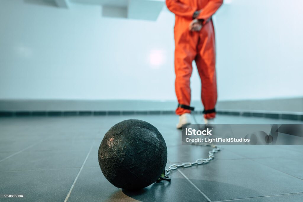 結婚・子育て・田舎暮らしの私が車は1台（軽自動車）＋バイク、そして電動自転車も本気で検討している理由に関する画像